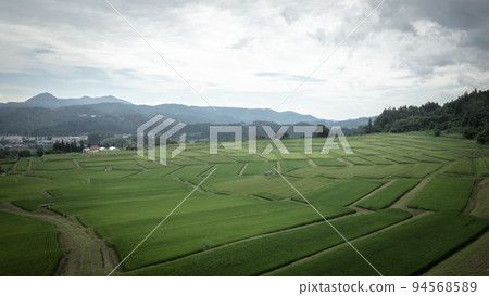 山形縣澤平梯田 94568589