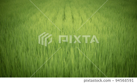 Sawaradaira Terraced Rice Fields, Yamagata Prefecture 94568591