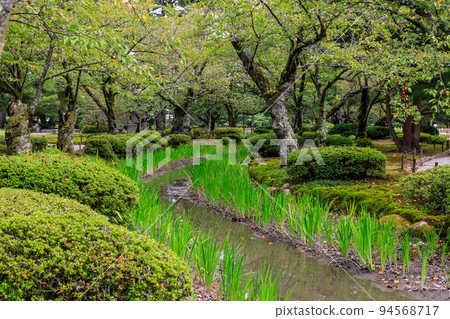金澤兼六園的庭園景色 金澤兼六園的庭園景色 94568717