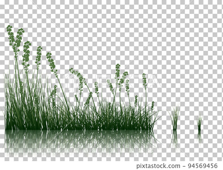 Grass On Water Grass On Water 94569456
