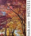 Gradation of autumn leaves (Lake Tateshina) 94570151