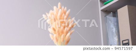 Pink flowers hare tails in blue vase closeup Pink flowers hare tails in blue vase closeup 94571597