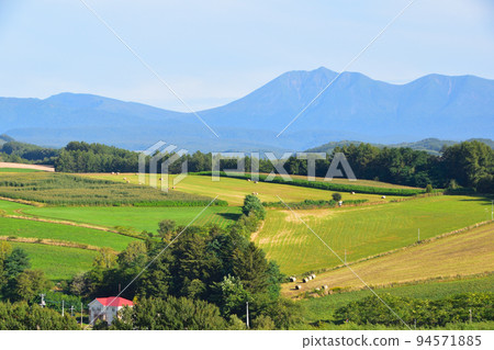 Hill Town Biei Town 94571885