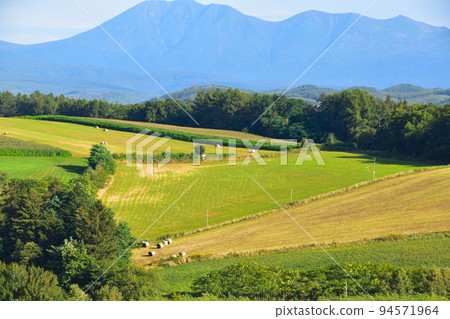 Hill Town 美瑛町 Hill Town 美瑛町 94571964