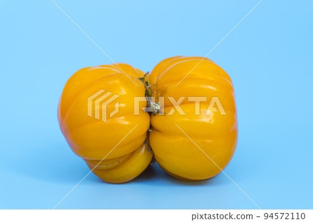 Ugly vegetables concept. Tomatoes of various unusual shapes on a blue minimal background. A metaphor for imperfection, the female body, the art of photography and form. Ugly vegetables concept. Tomatoes of various unusual shapes on a blue minimal background. A metaphor for imperfection, the female body, the art of photography and form. 94572110