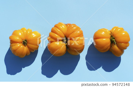 Autumn harvest food background. Organic farm vegetables on minimal blue backdrop. Fresh ripe yellow tomatoes various shapes, varieties and colors. Fall, agriculture, farming concept.  94572148