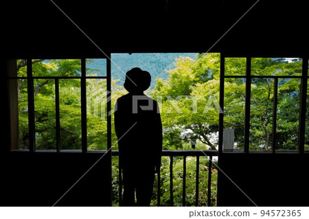 Landscape silhouette green Japan Landscape silhouette green Japan 94572365