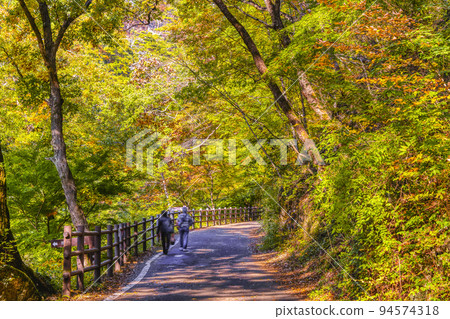 Yamanashi Prefecture Autumn leaves Shosenkyo Yamanashi Prefecture Autumn leaves Shosenkyo 94574318