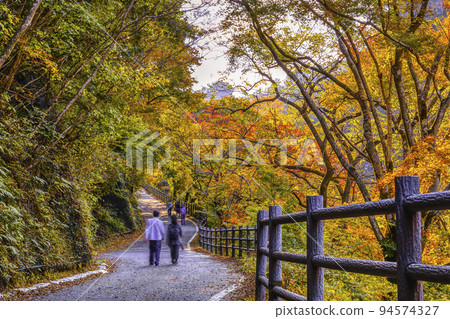 Yamanashi Prefecture Autumn leaves Shosenkyo Yamanashi Prefecture Autumn leaves Shosenkyo 94574327