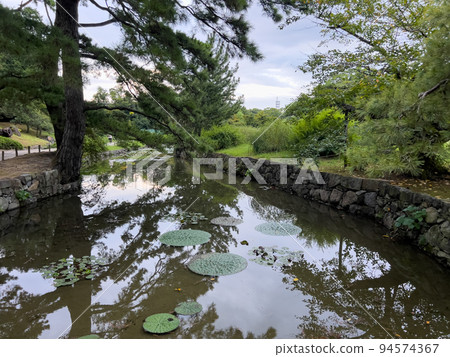 初秋的栗林公園(9月上旬) 初秋的栗林公園(9月上旬) 94574367