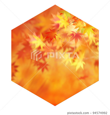 Frame material of autumn leaves 94574992