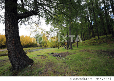 蒙古Olle 3 course road, trail, Mongolia, Olle road, Ageomerinam, Mongolia travel, 94575461