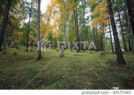 蒙古Olle 3 course road, trail, Mongolia, Olle road, Ageomerinam, Mongolia travel, 94575464