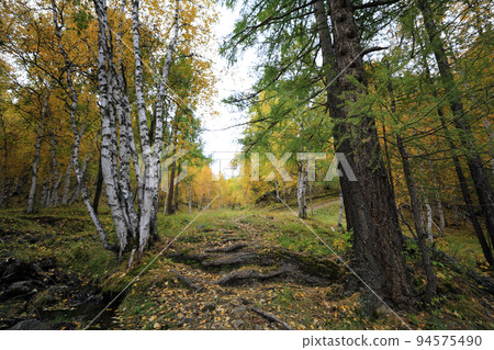 Mongolia Olle 3 course road, trail, Mongolia, Olle road, Ageomerinam, Mongolia travel, Mongolia Olle 3 course road, trail, Mongolia, Olle road, Ageomerinam, Mongolia travel, 94575490