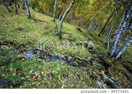 Mongolia Olle 3 course road, trail, Mongolia, Olle road, Ageomerinam, Mongolia travel, Mongolia Olle 3 course road, trail, Mongolia, Olle road, Ageomerinam, Mongolia travel, 94575491