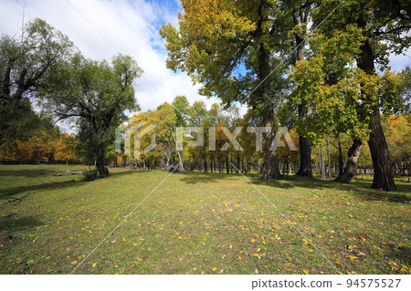 蒙古Olle 3 course road, trail, Mongolia, Olle road, Ageomerinam, Mongolia travel, 蒙古Olle 3 course road, trail, Mongolia, Olle road, Ageomerinam, Mongolia travel, 94575527