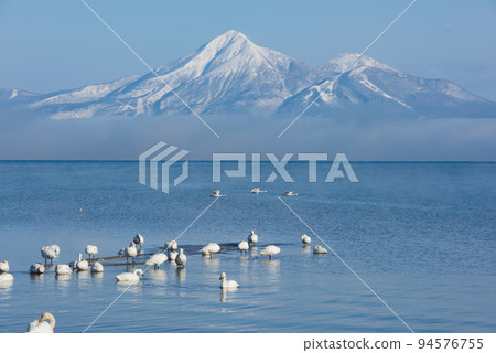 Swans of Lake Inawashiro and Mt. Bandai Swans of Lake Inawashiro and Mt. Bandai 94576755