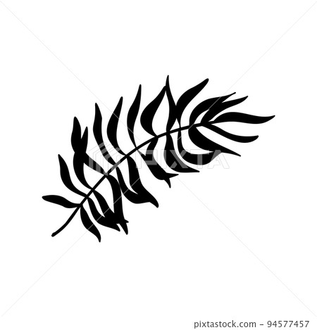 Tropical leaves. Hand drawn jungle leaf set. Vector exotic monstera floral decorative set Tropical leaves. Hand drawn jungle leaf set. Vector exotic monstera floral decorative set 94577457