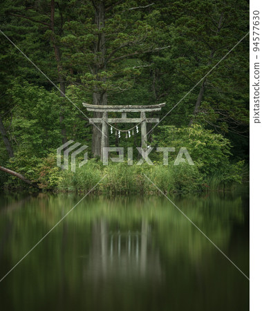山形縣大沼浮島的深綠色 山形縣大沼浮島的深綠色 94577630