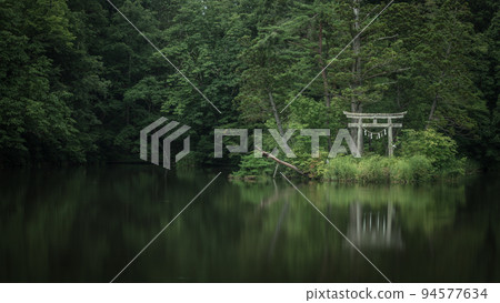 山形縣大沼浮島的深綠色 94577634