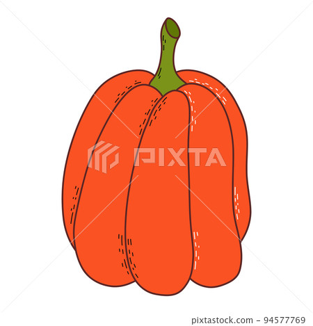 Cute pumpkin. Thanksgiving and halloween element. Vector illustration in hand drawn style Cute pumpkin. Thanksgiving and halloween element. Vector illustration in hand drawn style 94577769