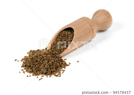 A pile of parsley seeds is ready to plant in a spring garden. These seeds are from the Gigante d'Italia variety. A pile of parsley seeds is ready to plant in a spring garden. These seeds are from the Gigante d'Italia variety. 94578437