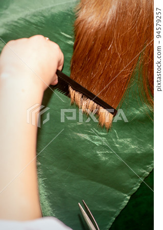 A hairdresser does a haircut and combes the long hair of a brunette woman in a beauty salon 94579257