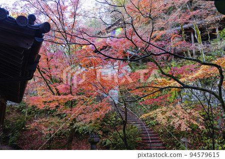 從三江戶看到的永觀堂禪林寺海山堂 從三江戶看到的永觀堂禪林寺海山堂 94579615
