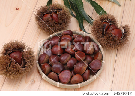 栗子 栗子 94579717