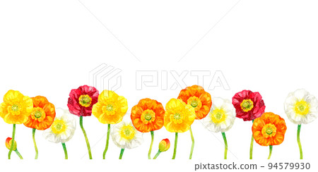 Poppy (corn poppy) background Spring flower hand-painted watercolor illustration background material Poppy (corn poppy) background Spring flower hand-painted watercolor illustration background material 94579930