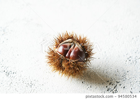 Saki chestnut Saki chestnut 94580534