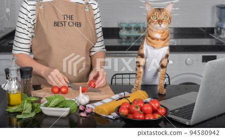 The cat and her owner prepare food by looking at the recipe in the laptop. 94580942