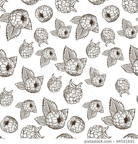 Black and white seamless pattern with raspberries in vintage style Black and white seamless pattern with raspberries in vintage style 94581691