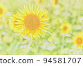 sunflower	 94581707