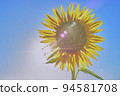 sunflower	 94581708