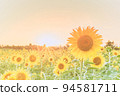 sunflower	 94581711