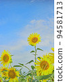 sunflower	 94581713