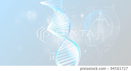 DNA double helix and human research infographic data. 94581727