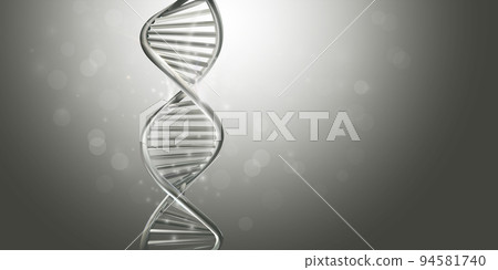 Double-stranded helix DNA model in gray color. Double-stranded helix DNA model in gray color. 94581740