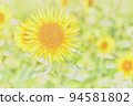 sunflower	 94581802