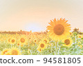 sunflower	 94581805