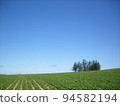 Biei 94582194