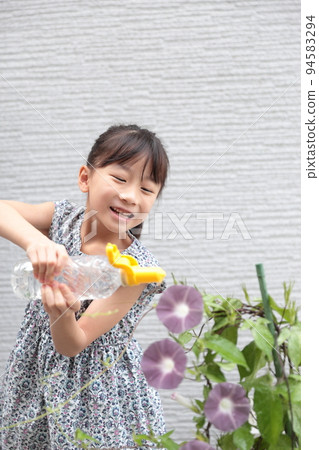 Elementary school girl cultivating morning glory 94583294