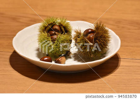 [Shinano Town, Nagano Prefecture] Picked up chestnuts 94583870
