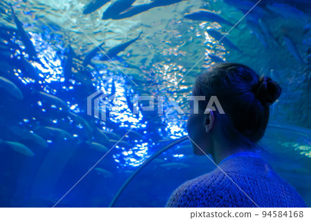 Woman looking at fish vortex in large public aquarium tank at oceanarium Woman looking at fish vortex in large public aquarium tank at oceanarium 94584168