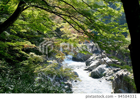 Daijagafuchi 5 Daijagafuchi 5 94584331