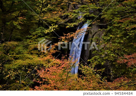 Autumn leaves of Okama Falls in Tokushima Prefecture Autumn leaves of Okama Falls in Tokushima Prefecture 94584484