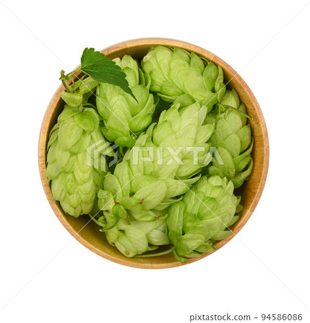 Wooden bowl of fresh green hops isolated on white Wooden bowl of fresh green hops isolated on white 94586086
