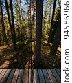 Eco path wooden walkway in the forest. Ecological trail path. Wooden path in the National reserve Crayfish lakes 94586966