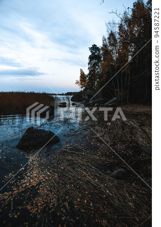 Island in Monrepo Mon Repos park. Pampas grass. Autumn landscape. Vyborg Island in Monrepo Mon Repos park. Pampas grass. Autumn landscape. Vyborg 94587221